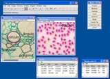 Digilab MicroImage Analyser